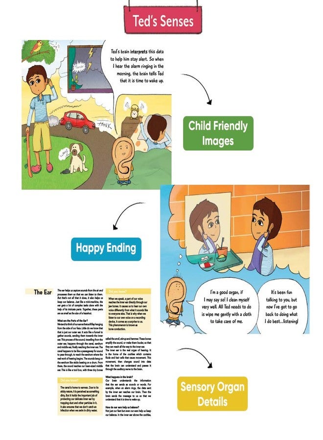 Brainsmith Ted's Senses Storybook Set - 5 Illustrated Books for Kids to Learn About Sense Organs Through Fun Bedtime Stories, Educational and Interactive Early Learning, Gift Set for Children 4+ Years - Image 4